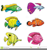 Clipart Fish Tank Image