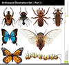 Clipart Insects Cartoon Image