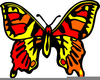 Cartoon Butterfly Clipart Free Image