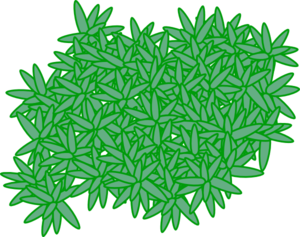 Moss Clip Art