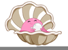 Clipart Clams Image