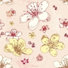 1428 1 Image