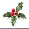 Ivy Christmas Clipart Image