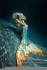 Mermaid Tails Image