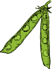 Pea Pod Clip Art