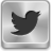 Twitter Bird Icon Image