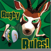 Springbok Rugby Clipart Image