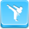 Karate Icon Image