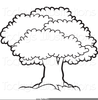 Outline Of A Tree Clipart Image