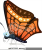 Elegant Butterfly Clipart Image