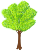 Tree Clip Art