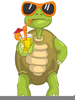 Drinking Turtle Clipart Image