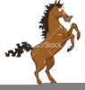 Horse Legs Cartoon Image