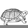 Turtle Clipart Image