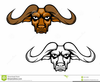 Buffaloes Clipart Image