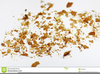 Clipart Bread Crumbs Image