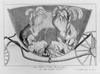 The Vis A Vis Bisected Or The Ladies Coop  / [m. Darly?]. Image