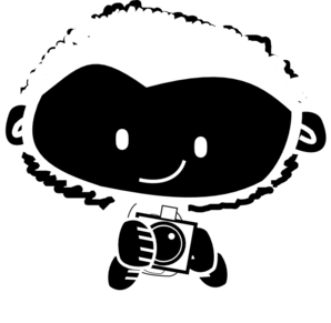 Monkey-camera-black-white-hairy Clip Art