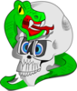 Snake Skull Image