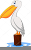 Cartoon Pelican Clipart Image