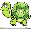 Turtle Clipart Vector Image