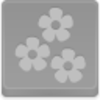 Flowers Icon Image