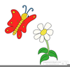 Free Butterfly Clipart For Mac Image