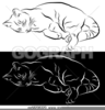 Sleeping Cat Clipart Image