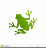 Green Frog Clipart Image