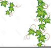 Flowering Vines Clipart Image