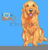 Free Golden Retriever Clipart Image