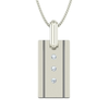 Hardy Boys Necklace Image