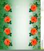 Hibiscus Clipart Border Image