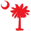 Sc Palmetto Tree Image