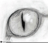 Crying Eyes Sketch Image