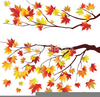 Free Clipart Maple Tree Image