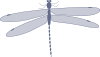 Damselfly 2 Clip Art