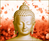 Buddha Statue With Rose Petals In Background Image