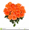 Clipart Bunch Of Roses Image