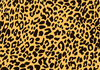 Animal Print Textures Clipart Image