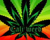 Marijuana Background Rasta Image