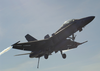 An F/a-18c Hornet Assigned To The  Gladiators  Of Strike Fighter Squadron One Zero Six (vfa 106) Flies Over Uss Theodore Roosevelt (cvn 71). Image