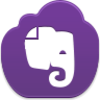 Evernote Icon Image