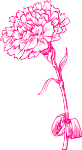 Pink Carnation Clip Art