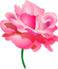 Pink Rose Clip Art