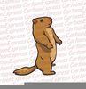 Prairie Dog Cartoon Clipart Image