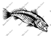 Drawing Fish Skeleton Clipart Image