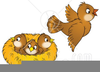 Clipart Empty Nest Image