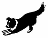 Border Collie Fe Clipart Image