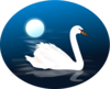 Swan Image